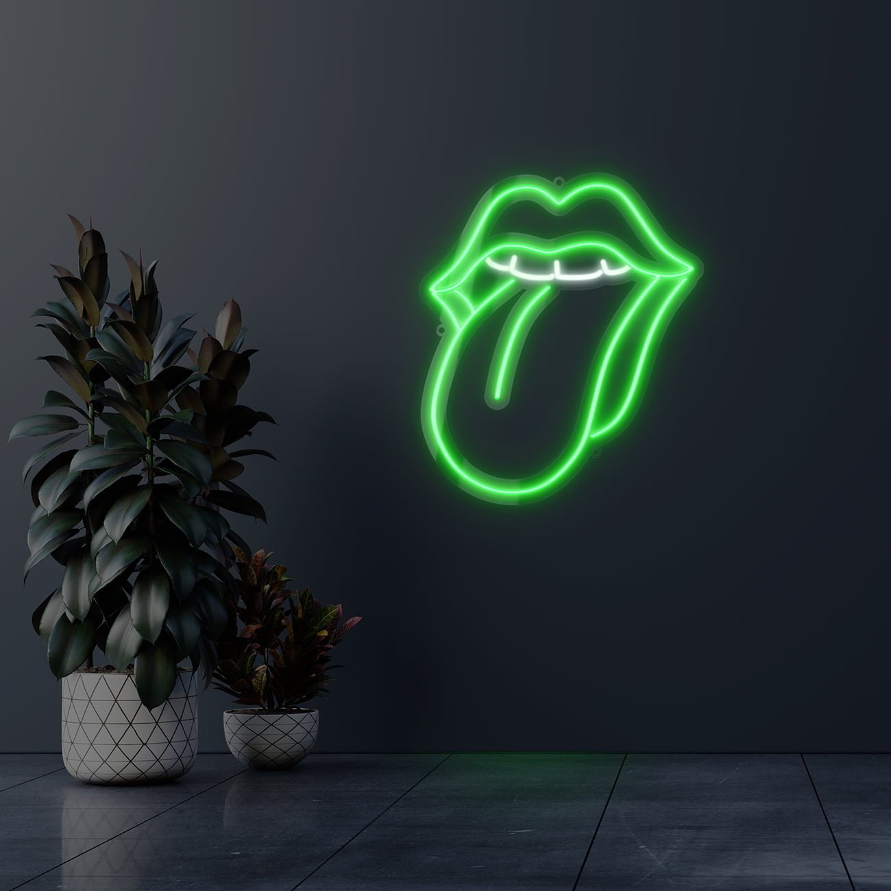 Dark wall empty room with plants on a floor.