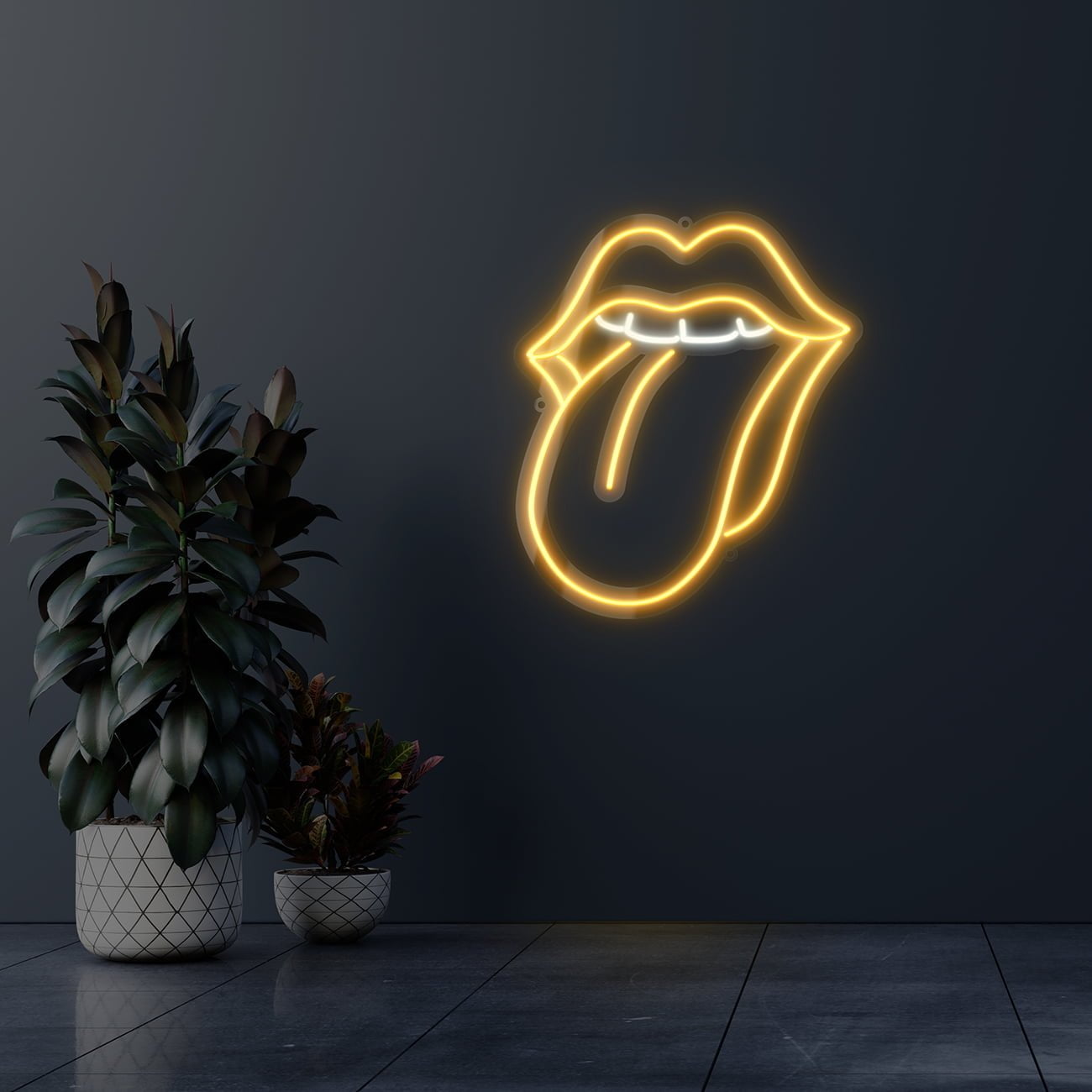 Dark wall empty room with plants on a floor.