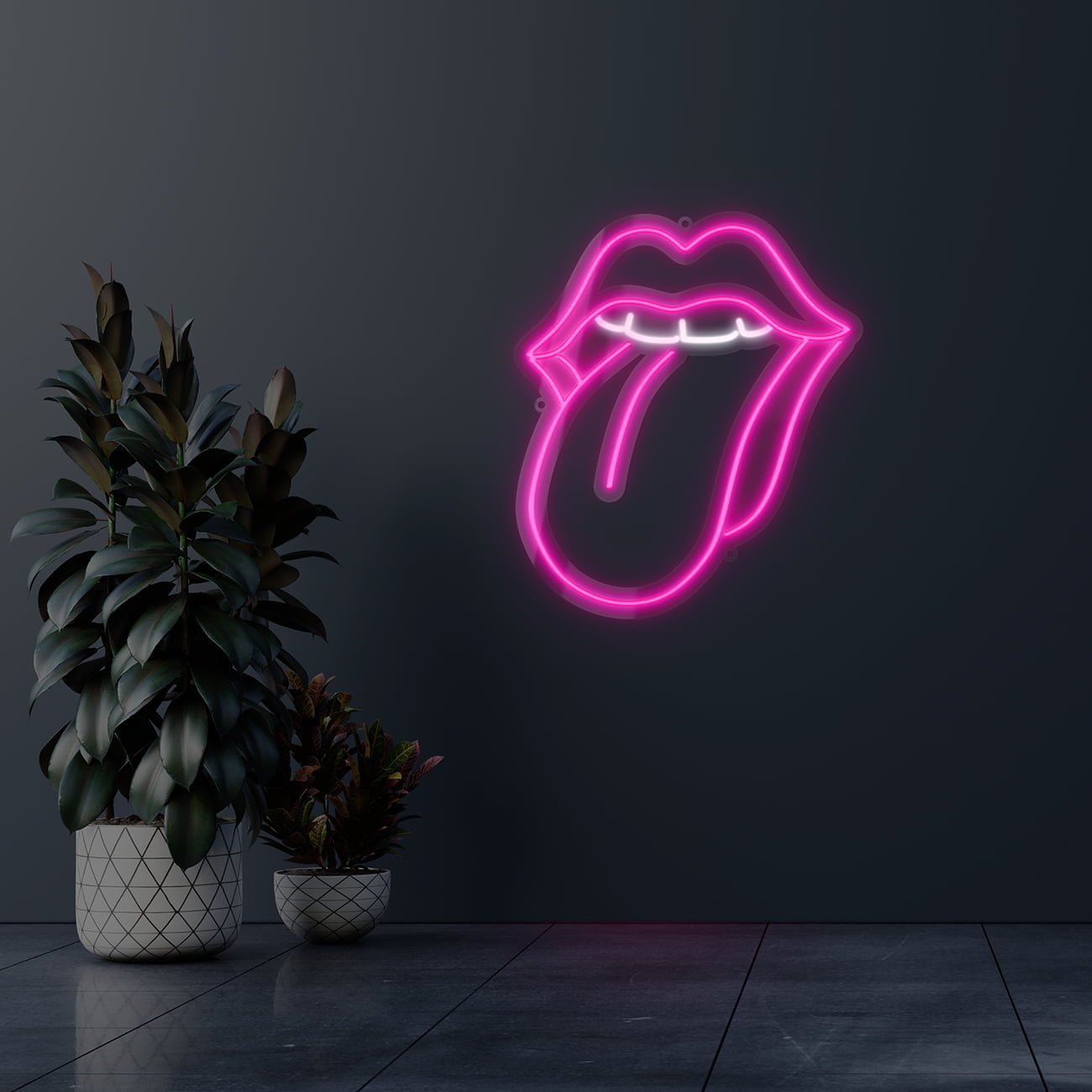 Dark wall empty room with plants on a floor.