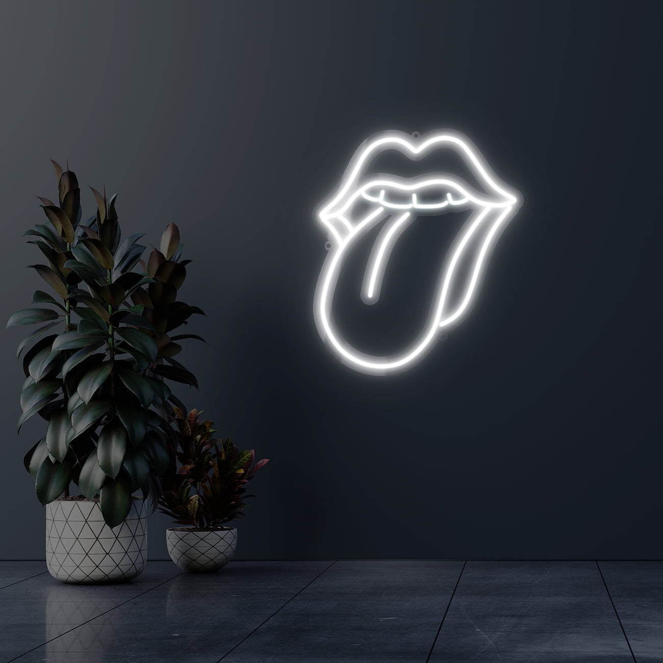 Dark wall empty room with plants on a floor.