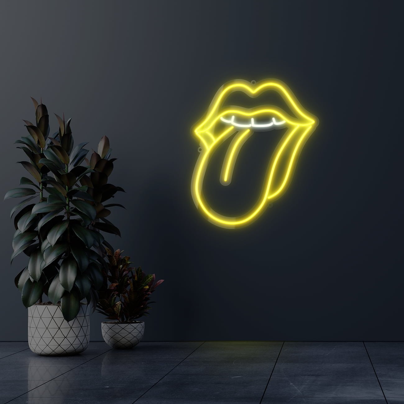 Dark wall empty room with plants on a floor.