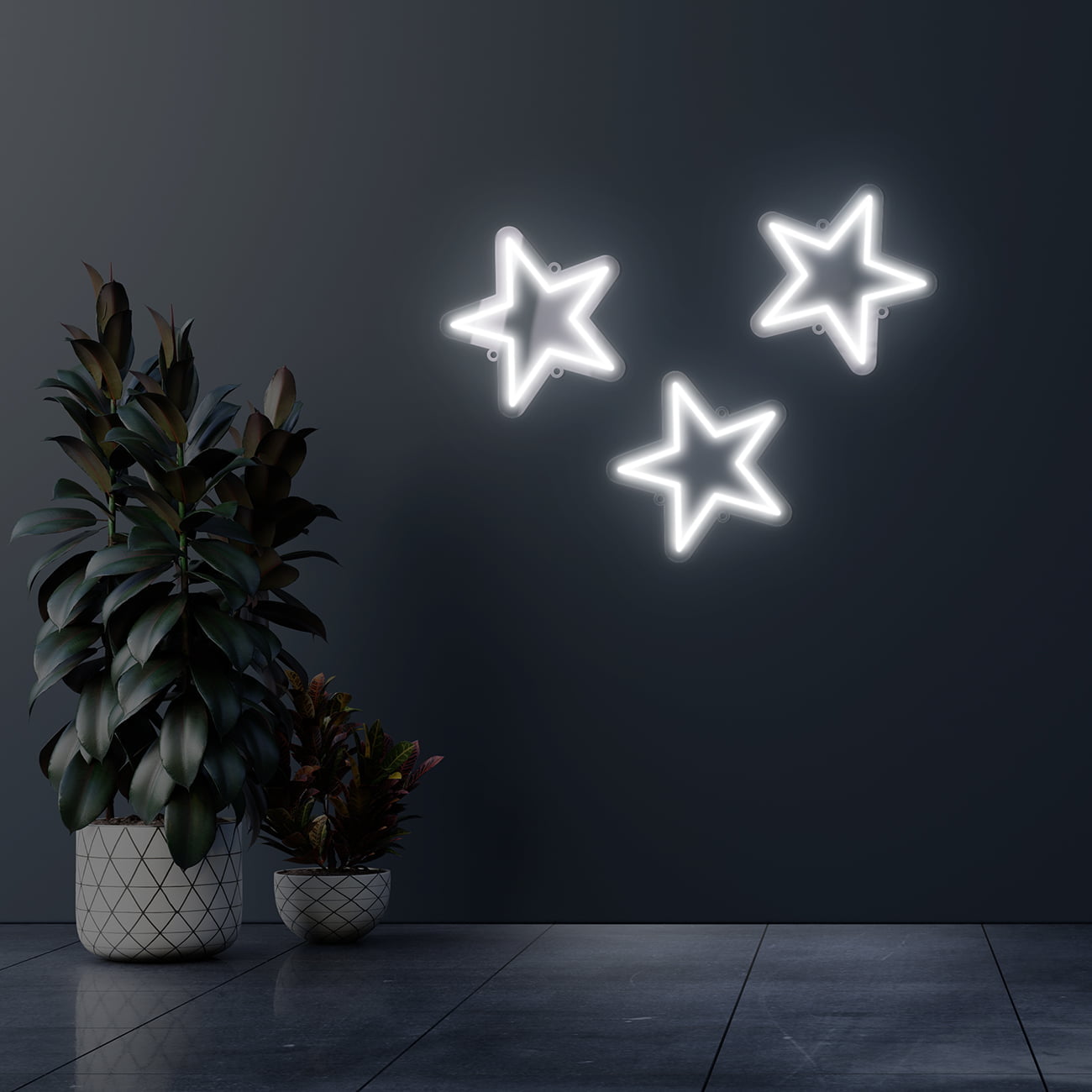 Dark wall empty room with plants on a floor.