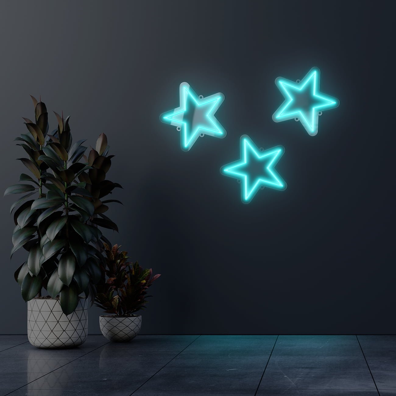 Dark wall empty room with plants on a floor.