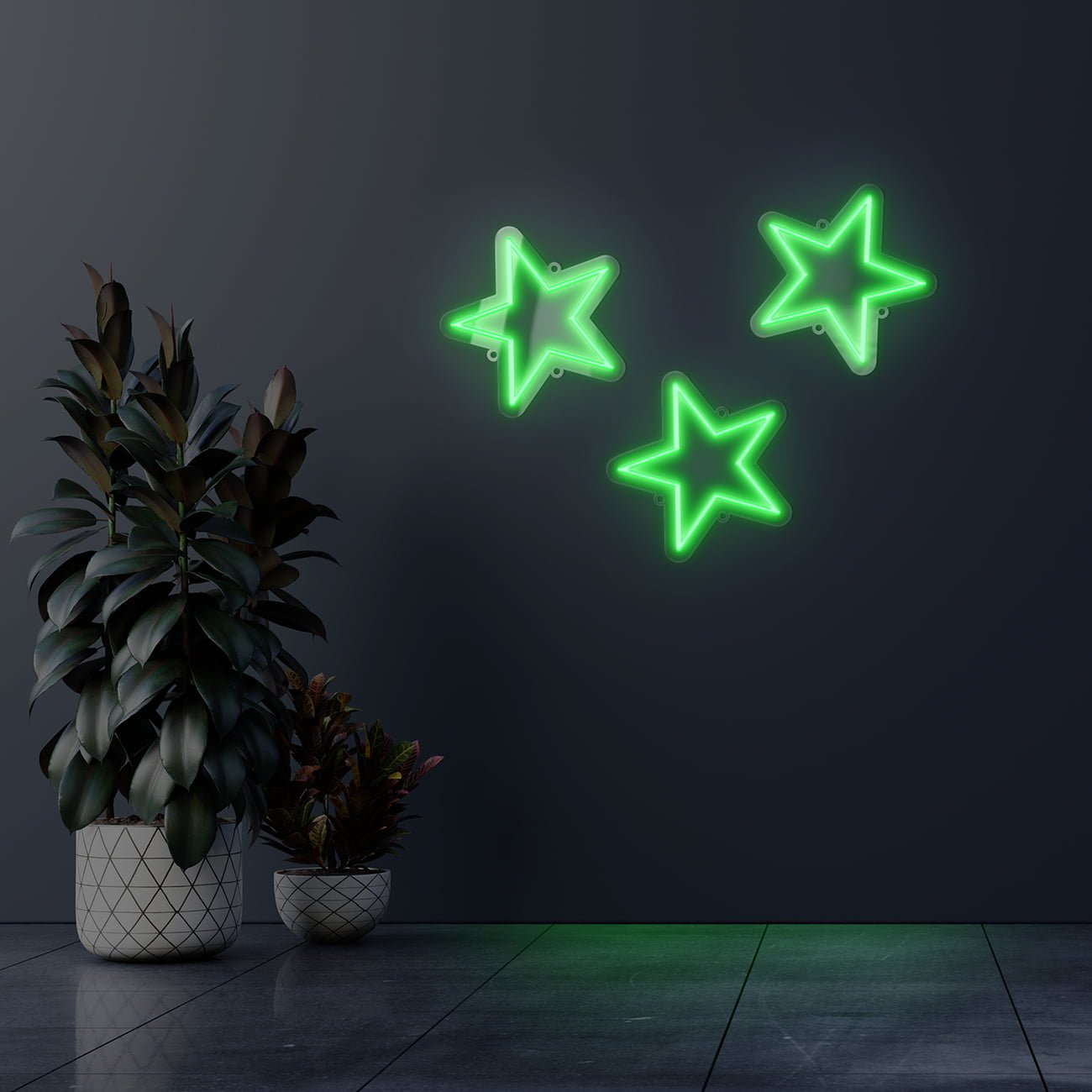 Dark wall empty room with plants on a floor.