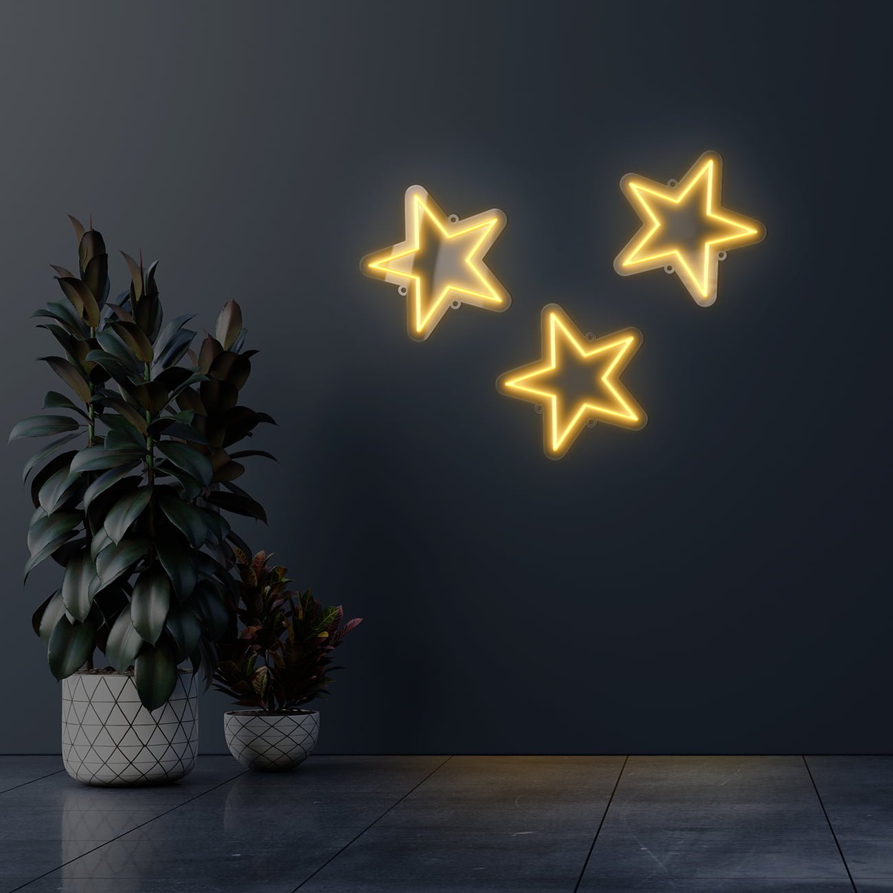 Dark wall empty room with plants on a floor.