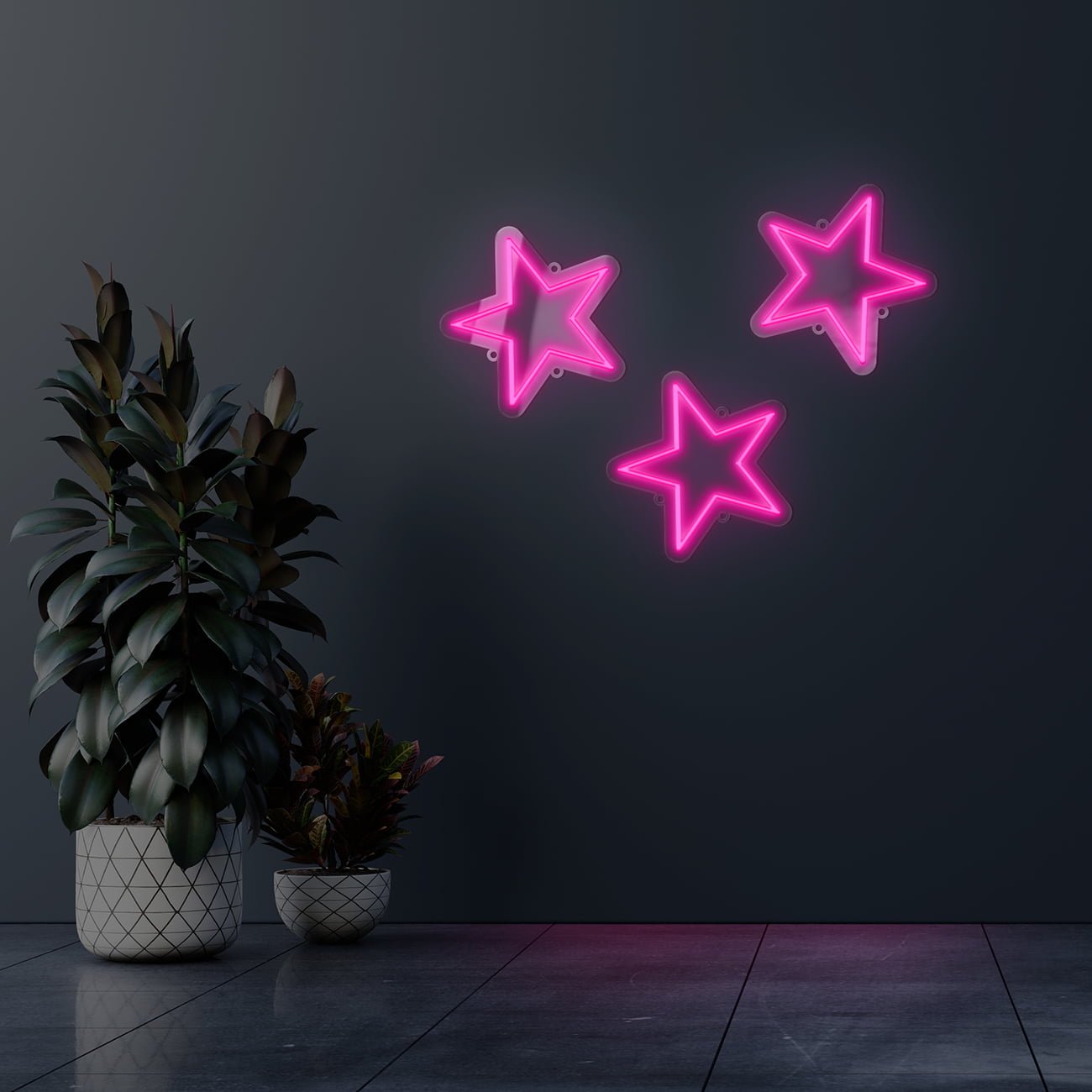 Dark wall empty room with plants on a floor.