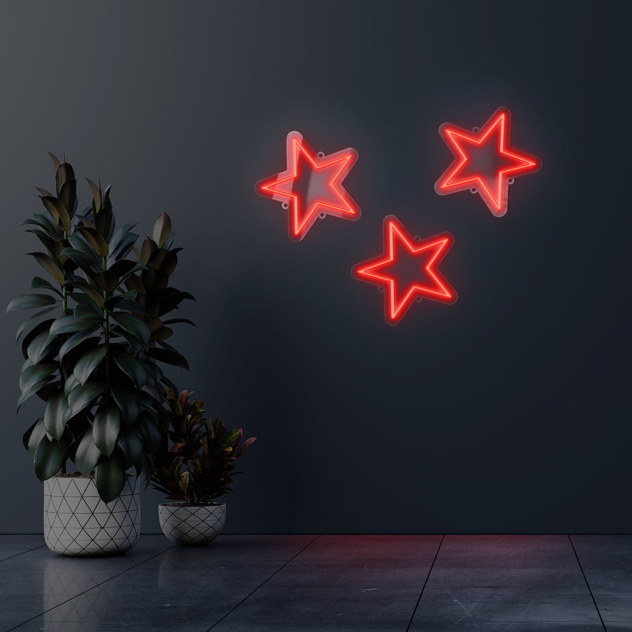 Dark wall empty room with plants on a floor.