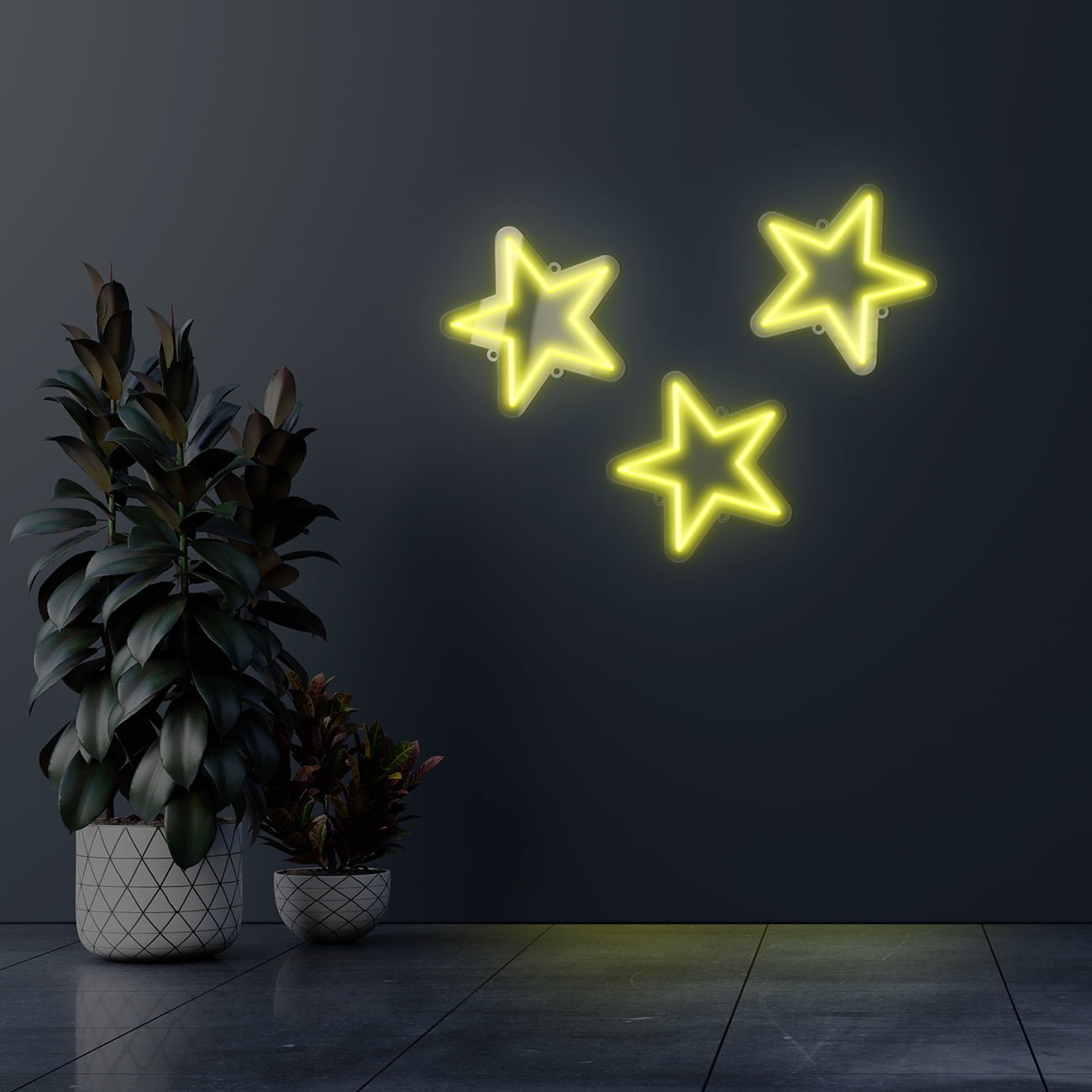 Dark wall empty room with plants on a floor.