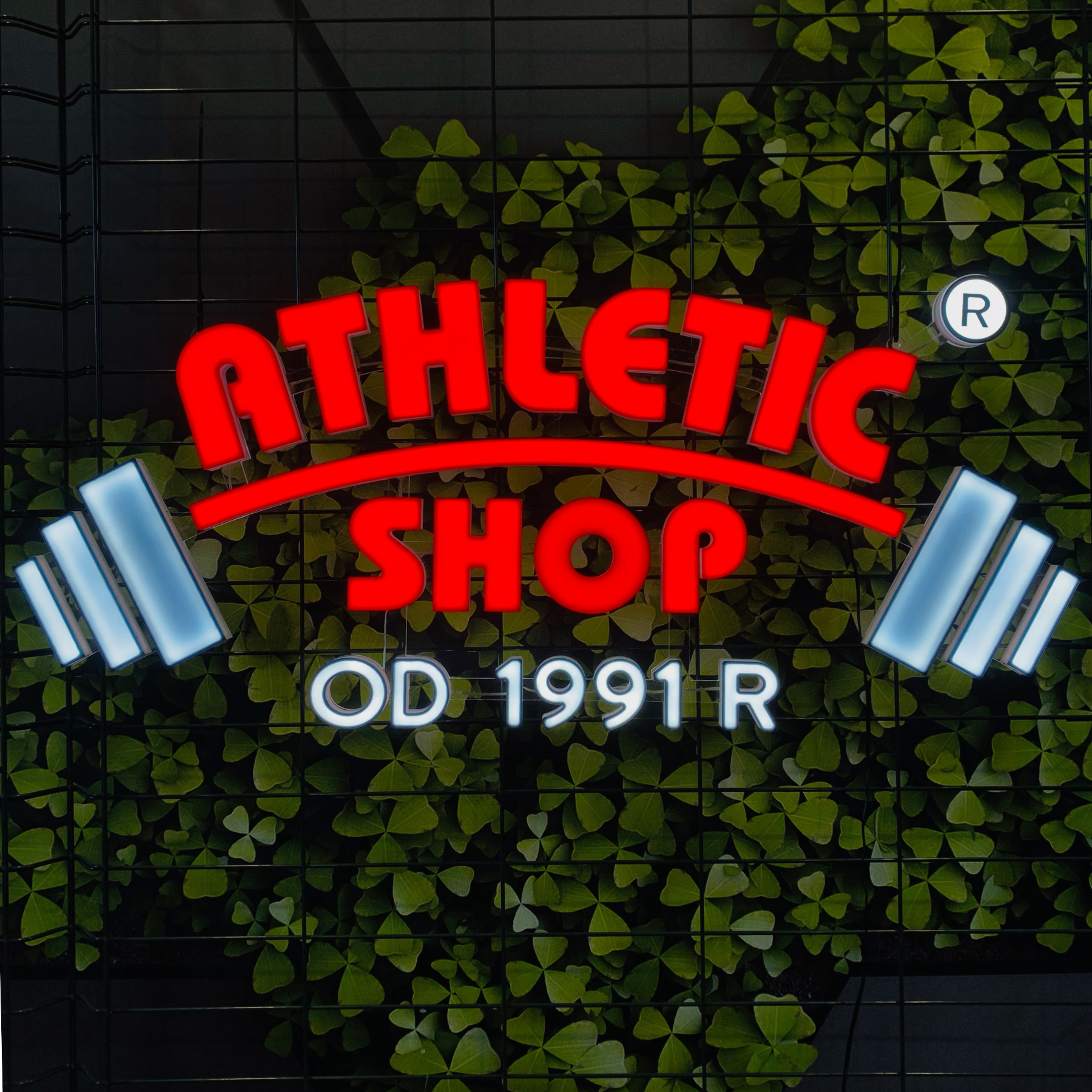 Projekt bez nazwy (5)